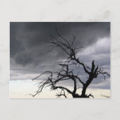 グアダルーペ ポストカード (正面)