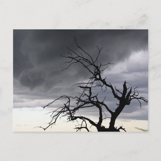 グアダルーペ ポストカード (正面)