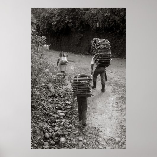 グアテマラの木材運搬船 ポスター (正面)