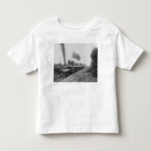 グアテマラの鍋のアメリカの中央鉄道 トドラーTシャツ (正面)