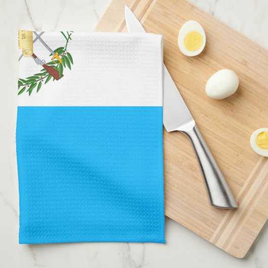 グアテマラ キッチンタオル (四つ折り)