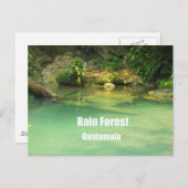 グアテマラ，熱帯雨林 ポストカード (正面/裏面)