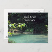 グアテマラ，熱帯雨林 ポストカード (正面/裏面)