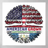 グアテマラUSアメリカ合衆国統一された州 ポスター (正面)