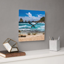 グアドループ，グランデテール，ポアント・デ・シャトー