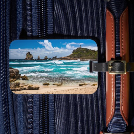 グアドループ，グランデテール，ポアント・デ・シャトー ラゲッジタグ (正面インサイチュ4)