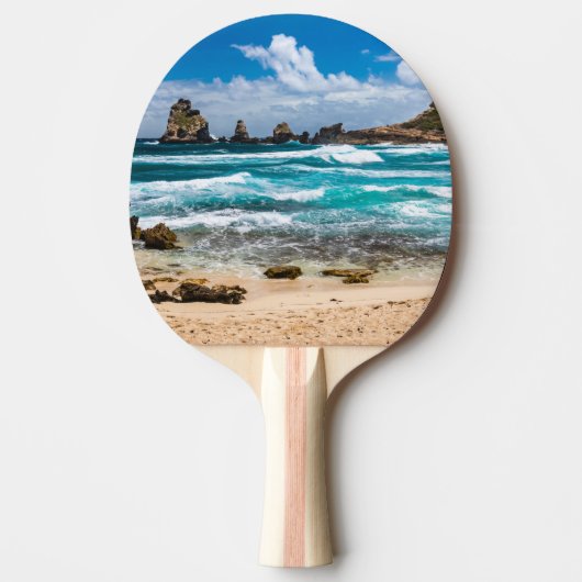 グアドループ，グランデテール，ポアント・デ・シャトー 卓球ラケット (正面)
