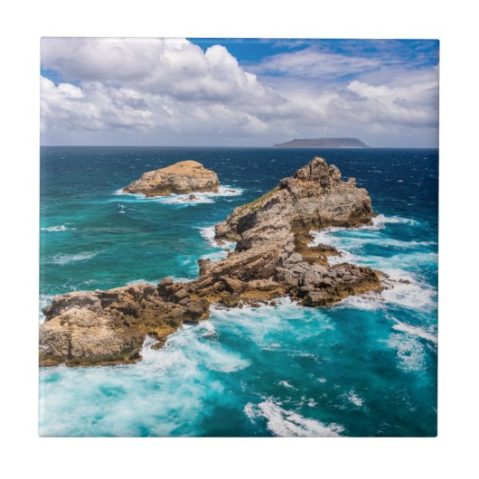 グアドループ，グランデテール，ポアント・デ・シャトー#2 タイル (正面)