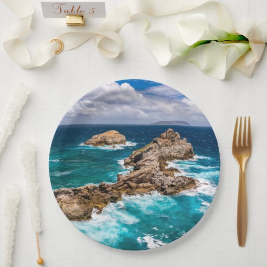 グアドループ,グランデテール,ポアント・デ・シャトー#2 ペーパープレート (ウェディング)