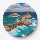 グアドループ,グランデテール,ポアント・デ・シャトー#2 ペーパープレート (正面)