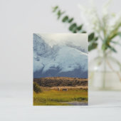 グアナコスマウンテンピーク ポストカード (スタンド正面)