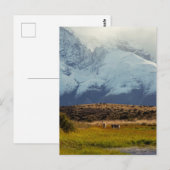 グアナコスマウンテンピーク ポストカード (正面/裏面)