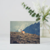 グアナコマウンテン ポストカード (スタンド正面)