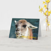 グアナコ カード (黄色い花)