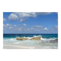 グアナ素晴らしケイビーチバハマ