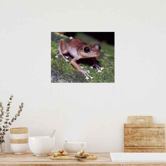 グアホン ポスター (キッチン)