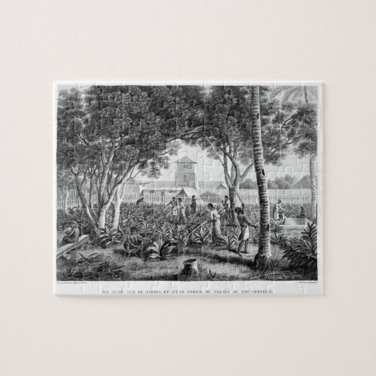 グアムの島: tの庭の仕事の先住民 ジグソーパズル (横)