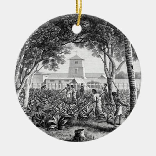 グアムの島: tの庭の仕事の先住民 セラミックオーナメント (正面)