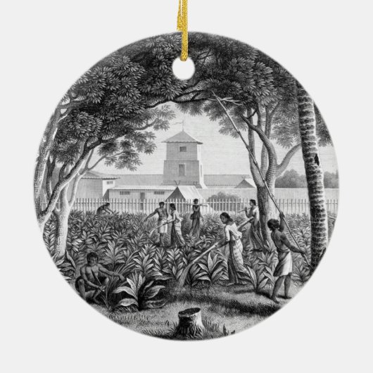 グアムの島: tの庭の仕事の先住民 セラミックオーナメント (裏面)