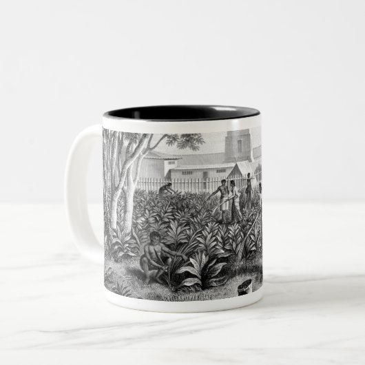 グアムの島: tの庭の仕事の先住民 ツートーンマグカップ (正面左)