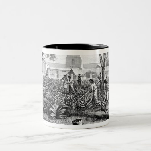 グアムの島: tの庭の仕事の先住民 ツートーンマグカップ (中央)