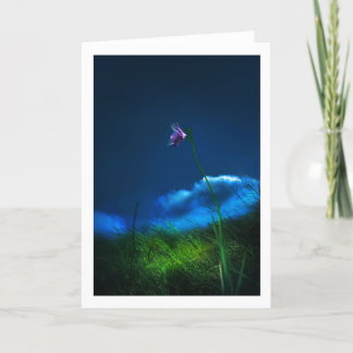 グアムの野生ラン サンキューカード