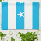 グアヤキル都市旗のエクアドルの記号 キッチンタオル (折り畳み)