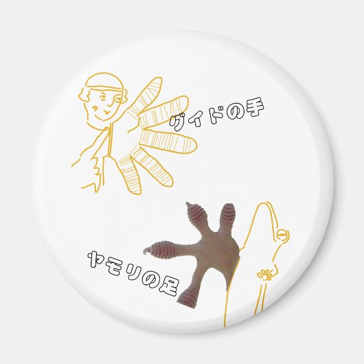 グイドの手・ヤモリの足マグネット磁石 マグネット (正面)