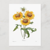 グイラルディア ポストカード (正面)