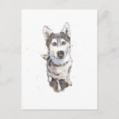 グシンプルレーハスキーかわいいおもしろい犬はがき ポストカード (正面)