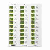 グスタフクリムトザハウスオブグアルダボシ ラベル (フルシート)