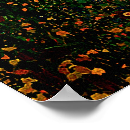 グスタフクリムトポスターザキス ポスター (角)