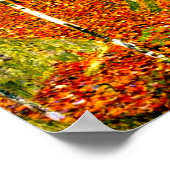 グスタフクリムト樺の木ツリー ポスター (角)