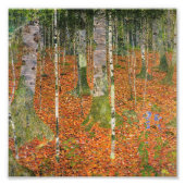 グスタフクリムト – ファームハウスウィズ樺の木 フォトプリント            (正面)