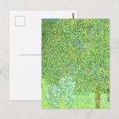 グスタフクリムト、木の下のバラの茂み ポストカード (正面/裏面)