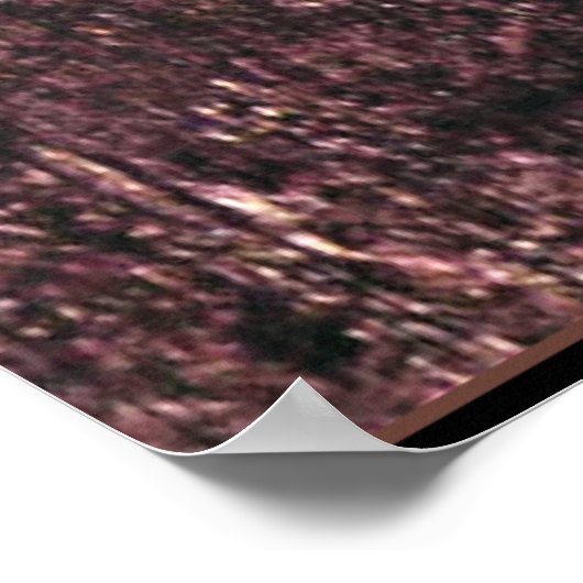 グスタフ絵画クリムトズ、毛皮の帽子とボアを持つ女性 ポスター (角)