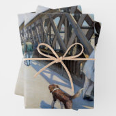 グスタヴカイレボッテ – ルポンデヨーロッパ ラッピングペーパーシート (インサイチュ)