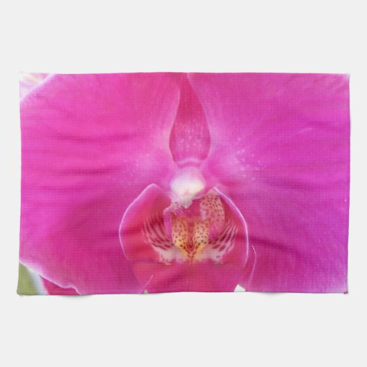 グダ キッチンタオル (横)