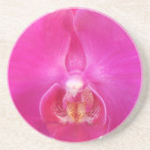 グダ コースター (正面)