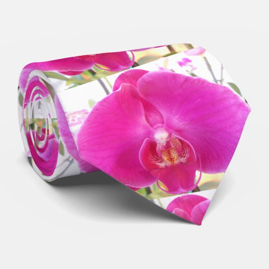 グダ ネクタイ (ロール)