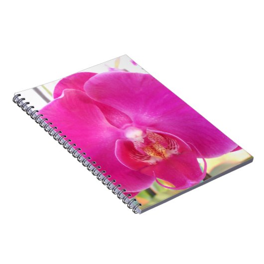 グダ ノートブック (右側)