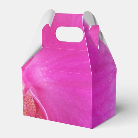 グダ フェイバーボックス (正面サイド)