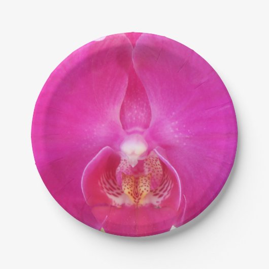 グダ ペーパープレート (正面)