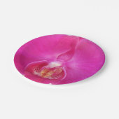 グダ ペーパープレート (アングル)