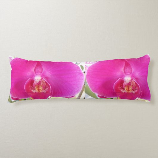 グダ ボディピロー (正面)