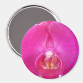 グダ マグネット (正面/裏面)