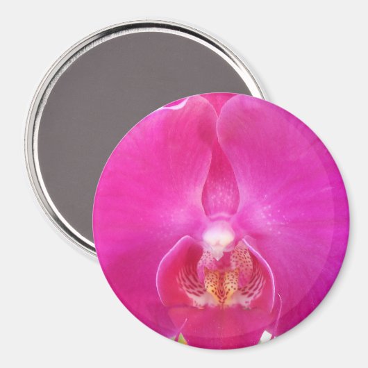 グダ マグネット (正面/裏面)