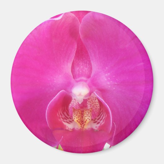 グダ マグネット (正面)