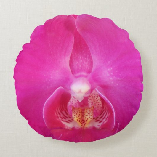 グダ ラウンドクッション (正面)