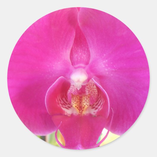 グダ ラウンドシール (正面)